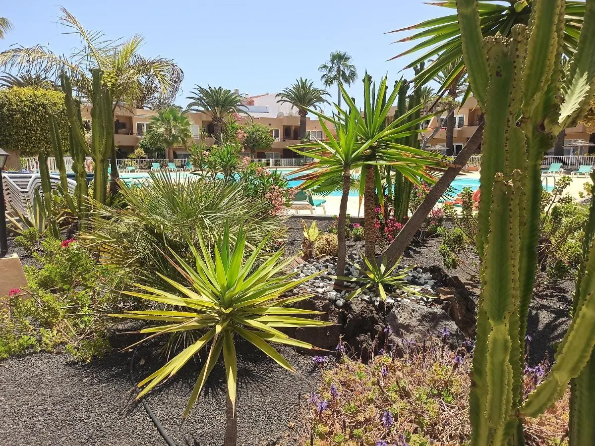Apartment Sunnyapartment Corralejo